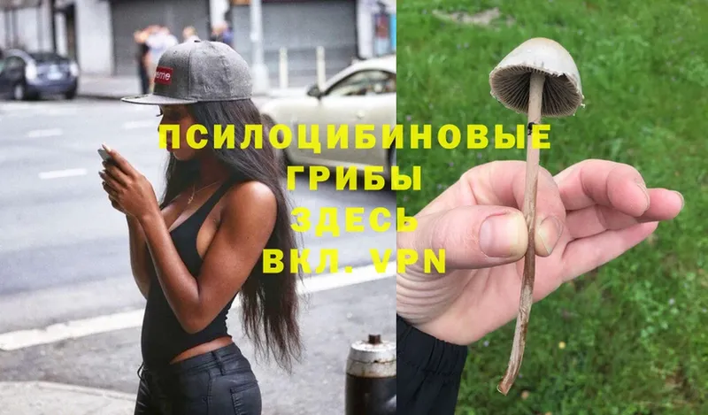 Галлюциногенные грибы Magic Shrooms  где продают   Бахчисарай 